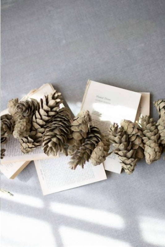 Mickler & Co. - Pinecone Garland