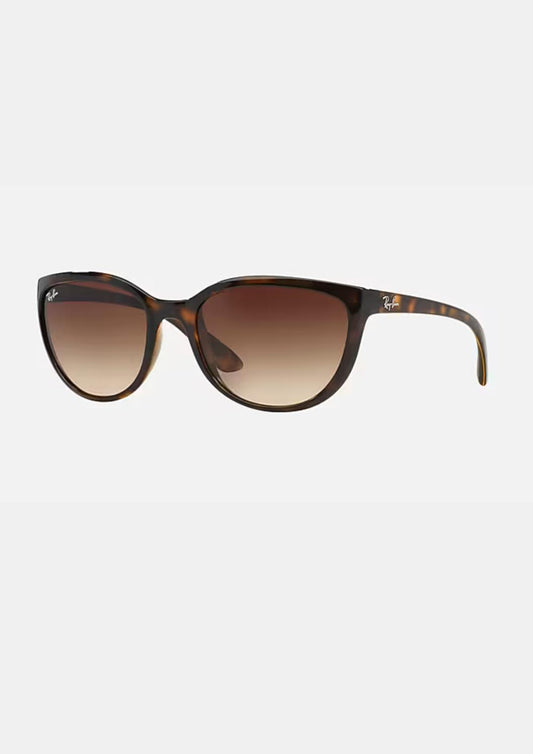 Ray Ban - Women's Irregular Rb4167 710/13 Sunglasses