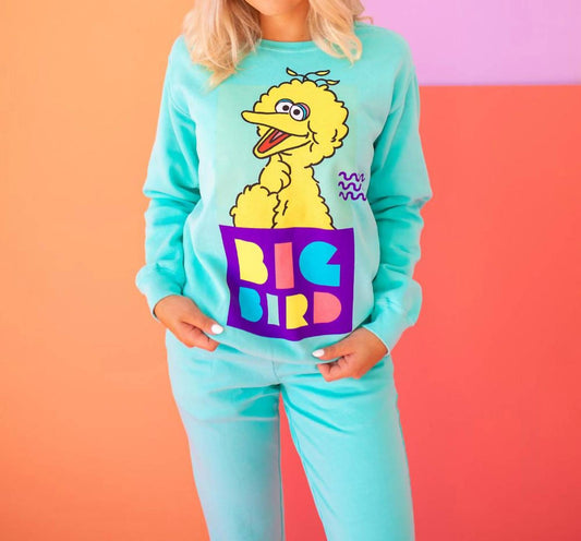 People Of Leisure - Sesame Street Big Bird Sweatshirt