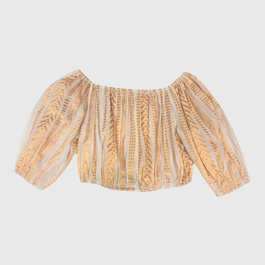 Paani - Women's Embroidered Crop Top