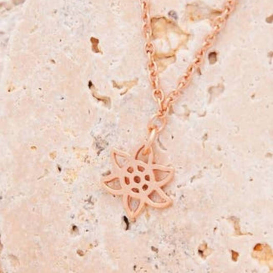 Direction Apparel - Women's Birth Month Flower Set