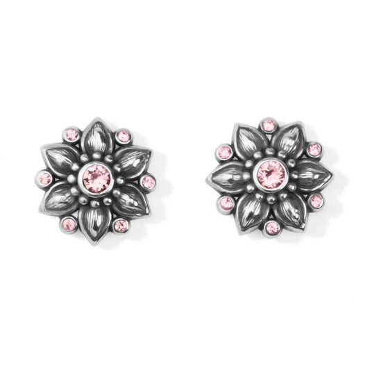 Brighton - Women's Cora Mini Earrings