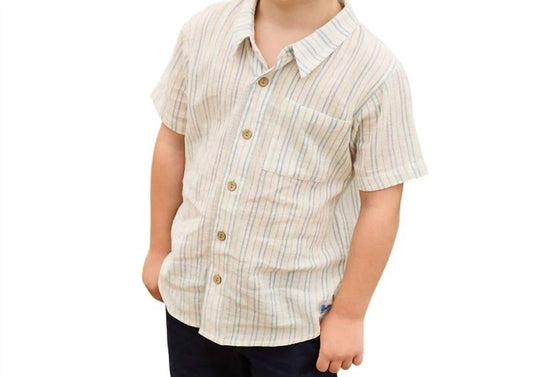 Pink Chicken - Jack Shirt