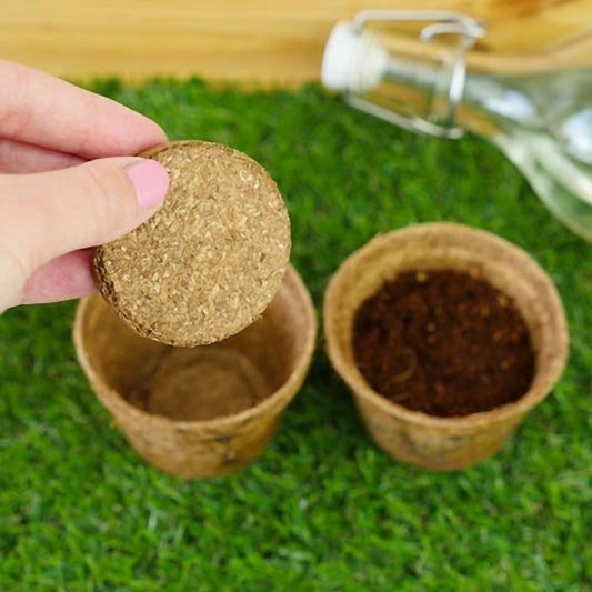 Gift Republic - Grow It Kit