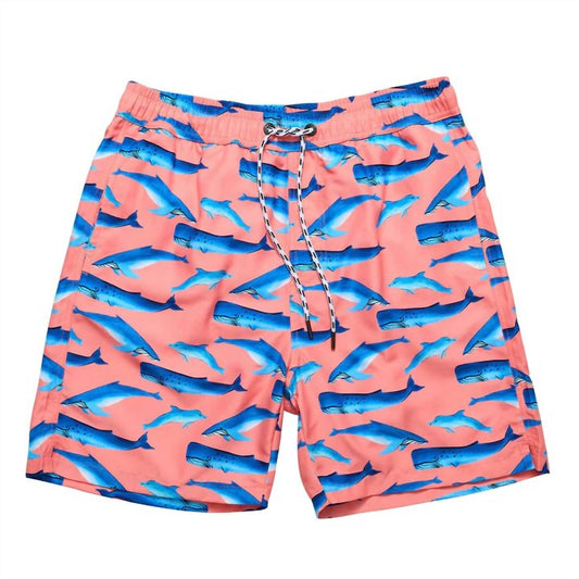 Snapper Rock - Mens' Swim Shorts