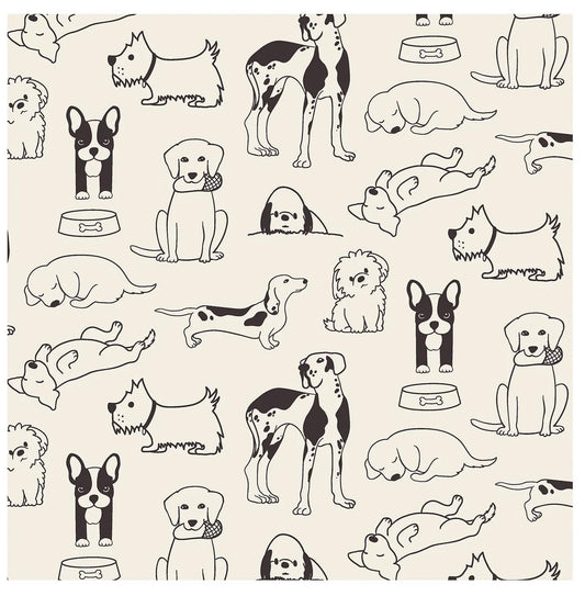 Kickee - Baby's Short Sleeve Crew Neck Tee And Lightweight Shorts Set