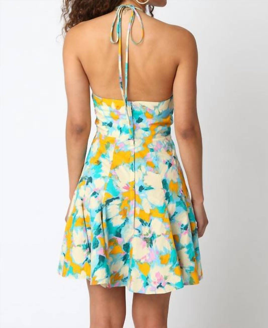 Olivaceous - Claudia Halter Dress