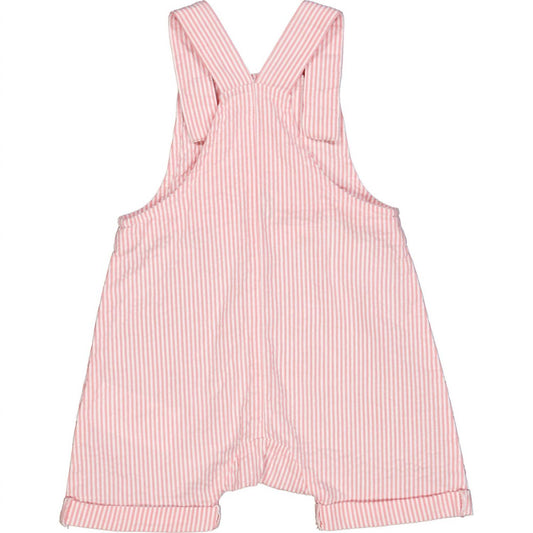 Muesli - Girls Seersucker Baby Overalls