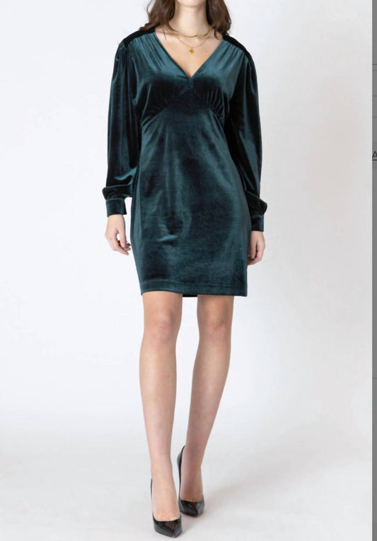 Dex - Velvet Mini Dress