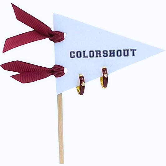 Color Shout - Women's 10 Things I Love About Hoops