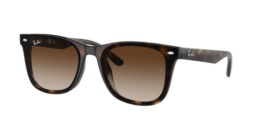 Ray Ban - Women's Havana Frame Sunglasses