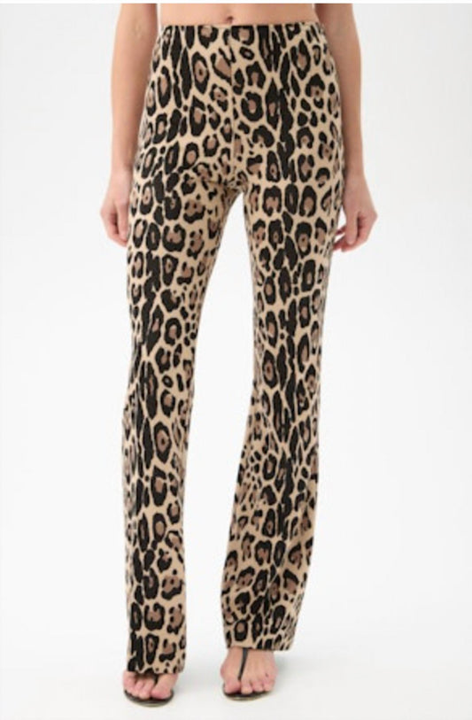 Trina Turk - Women's Multi Jacoba Pant