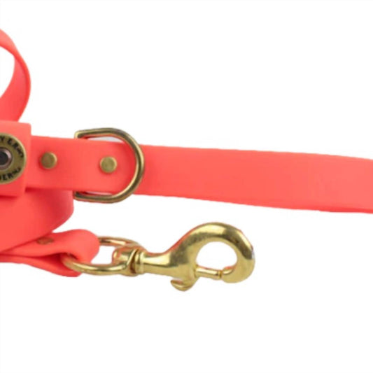 Over Under - Water Dog Leash