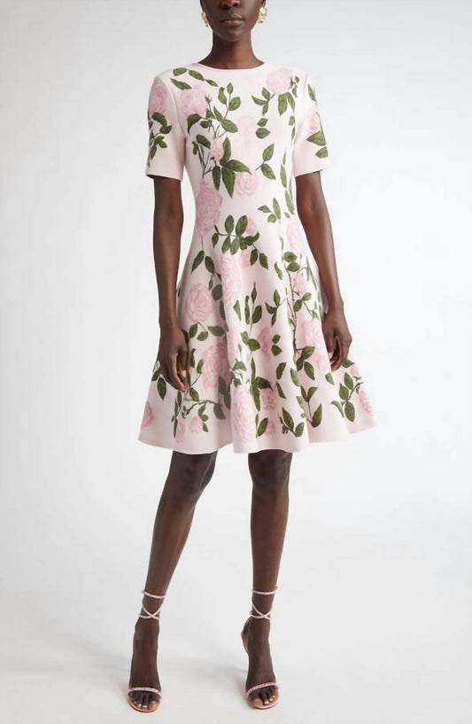 Oscar De La Renta - English Rose Jacquard Fit And Flare Knit Dress