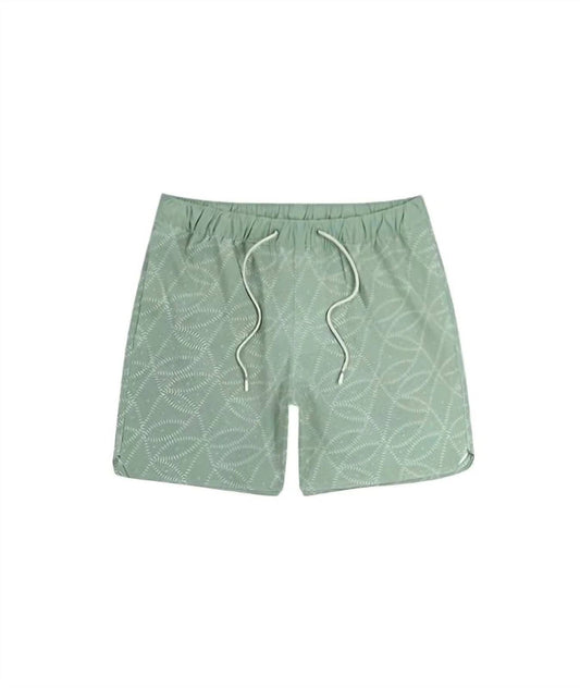 Jetty - Men's Bayside Pool Short
