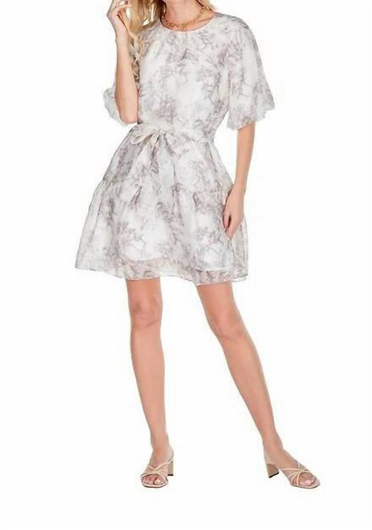Joy Joy - toile print dress