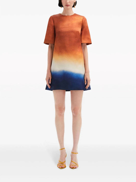 Oscar De La Renta - Abstract Ombré Shift Dress