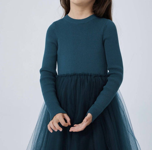 Girl's Ribbed Sweater and Tulle Dress