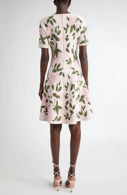Oscar De La Renta - English Rose Jacquard Fit And Flare Knit Dress