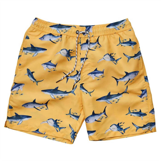 Snapper Rock - Mens Sunrise Shark Volley Board Shorts