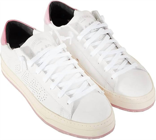 P448 - Women's Laced Sneakers