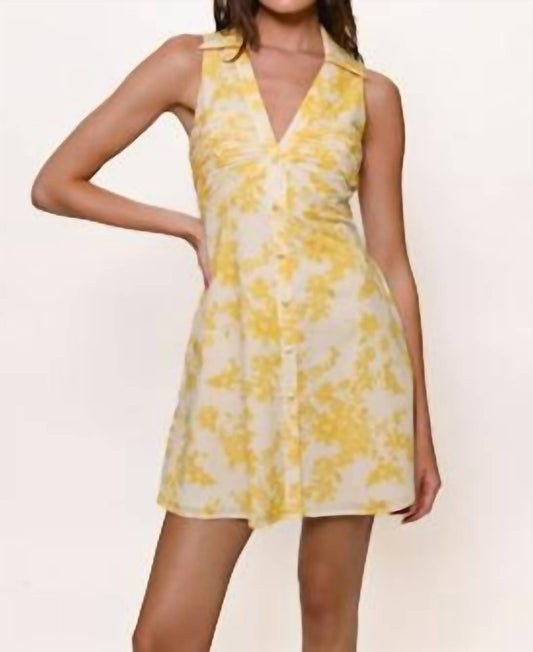 Hutch - Colt Collared Mini Dress