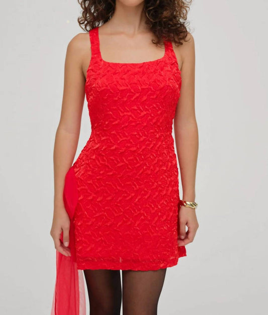 For Love & Lemons - Frosted Organza Mini Dress