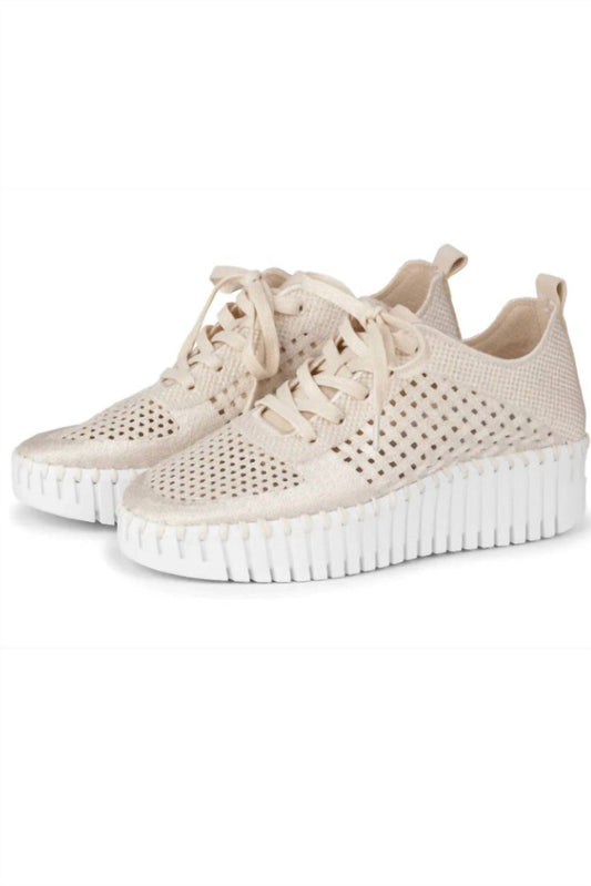 Ilse Jacobsen - Women's Tulip Platform Lace Up Sneakers