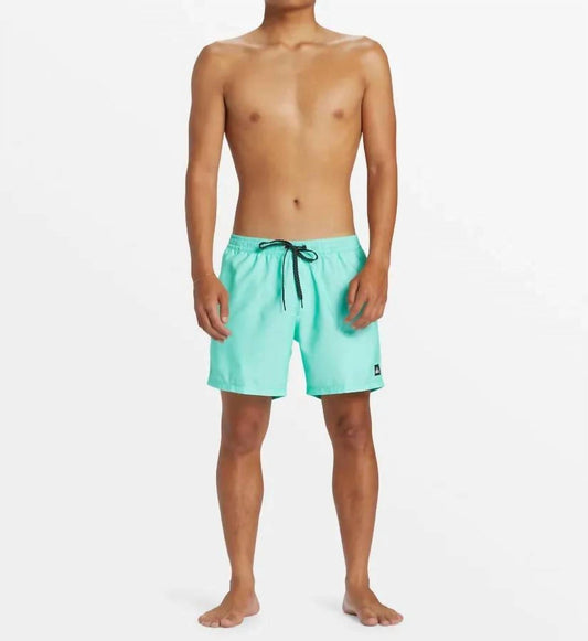 Quiksilver - Men's Everyday Solid Volley Short