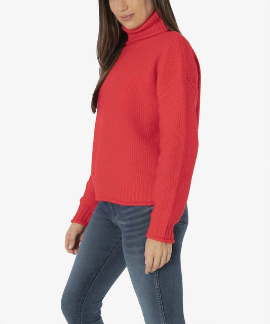 Hailee Turtleneck Sweater