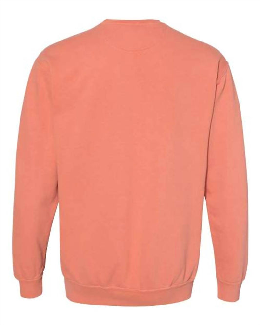 Comfort Colors - Vintage Stitched Bearkat Crewneck Sweatshirt