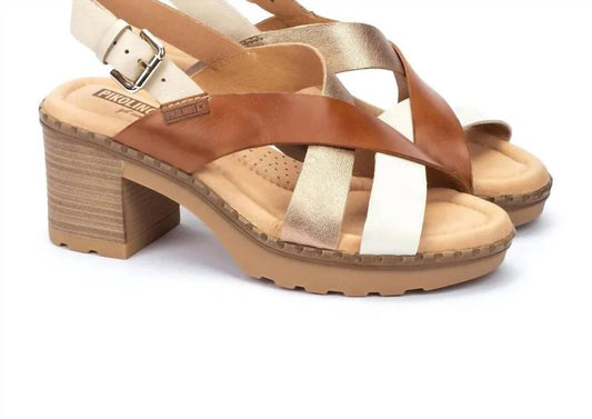 Pikolinos - Canarias