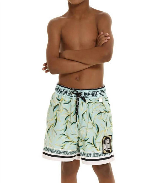 Agua Bendita - Boy's Nick Korin Trunk