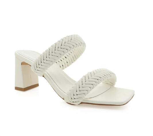 Billini - Illora Mules