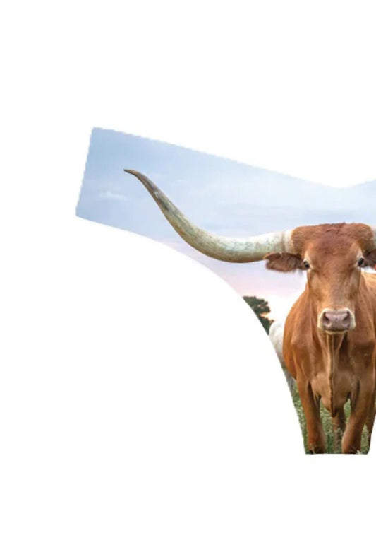 Commando - Women's Photo-op Thong Panty