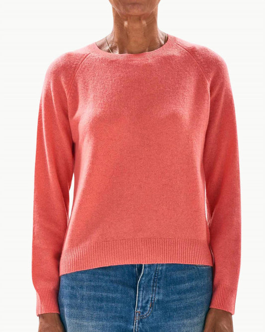 Jumper1234 - Crop Crewneck Sweater