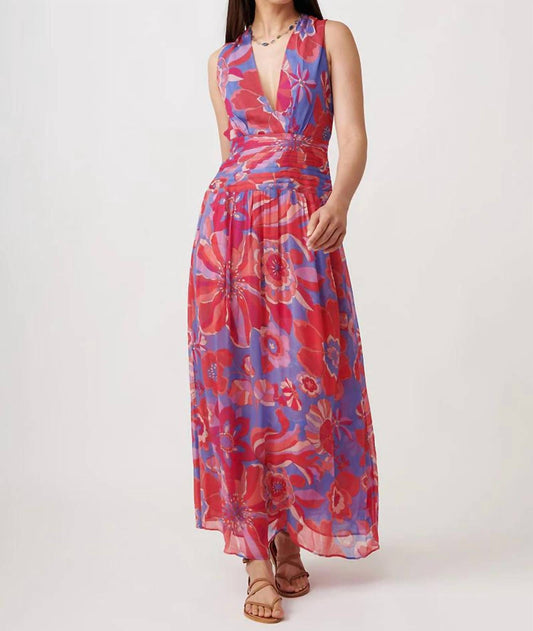Rixo - Cecelia Print Sleeveless Maxi Dress