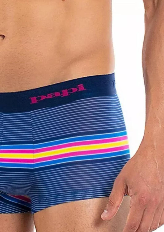 Papi - Beachside Stripes Brazilian Trunk