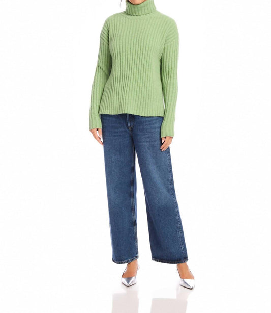 Fifteen Twenty - Claudia Turtleneck Sweater