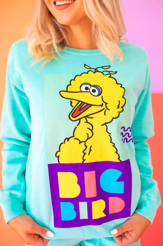 People Of Leisure - Sesame Street Big Bird Sweatshirt