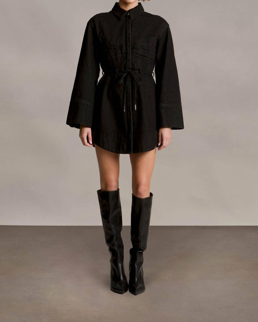 Amur - Denim Day Dress