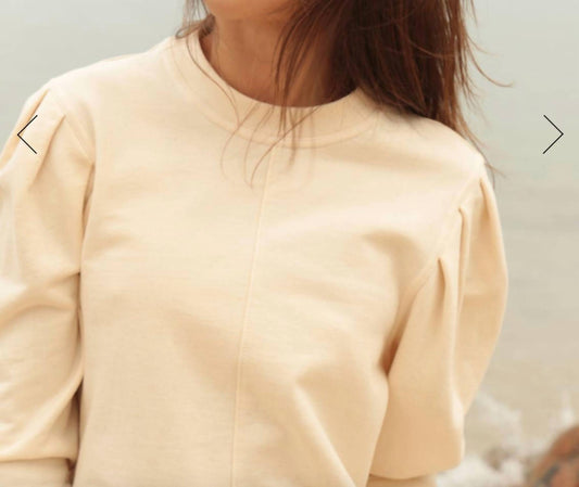 The Waight - Pleat Sleeve Crewneck Top