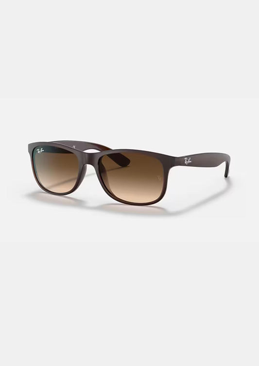 Ray Ban - Andy Rb4202 607313 Sunglasses