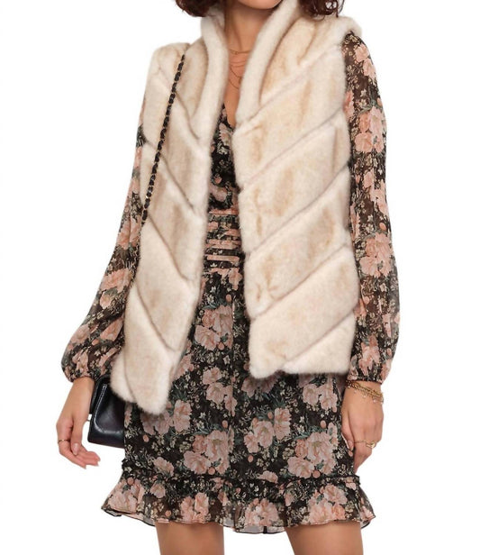 Entro - COLLINS VEST