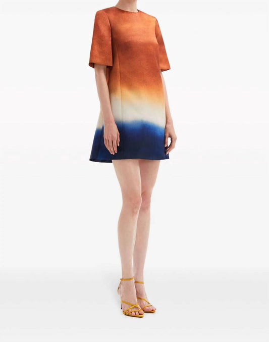 Oscar De La Renta - Abstract Ombré Shift Dress