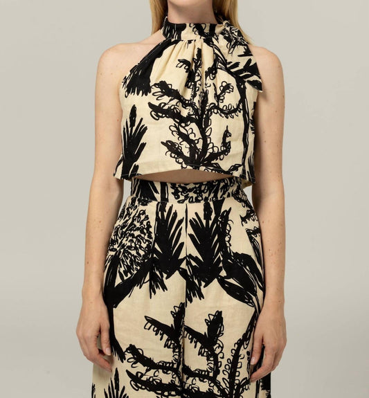 Bel Kazan - Petra Top