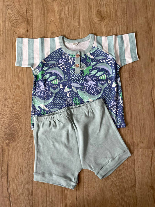 Tesa Babe - Boys Ocean Short Set