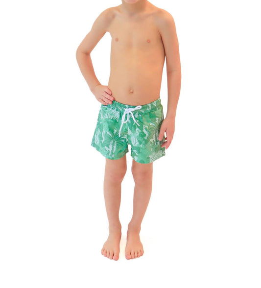 Citrine - Cole Boardies