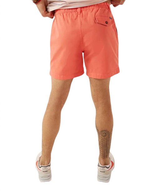 Chubbies - The New Englands 5.5" Short