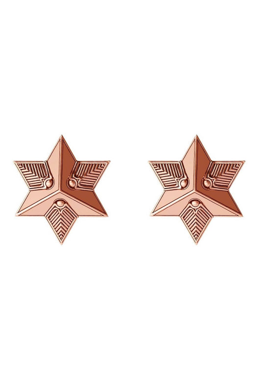 Astor & Orion - Women's Star Studs